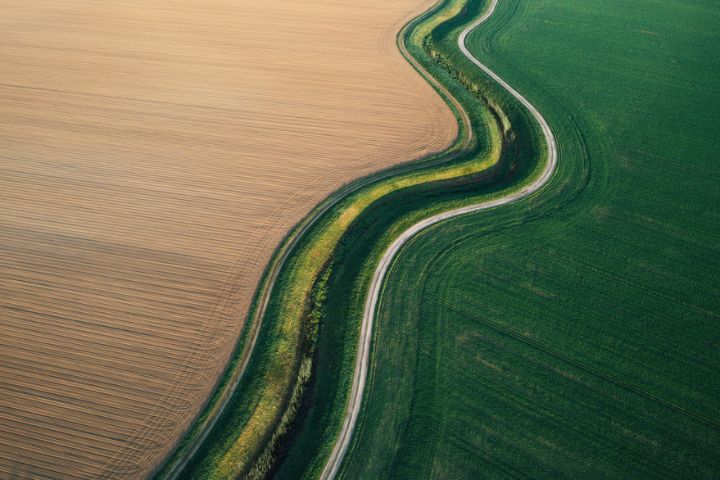 Winding Road with Green Grass